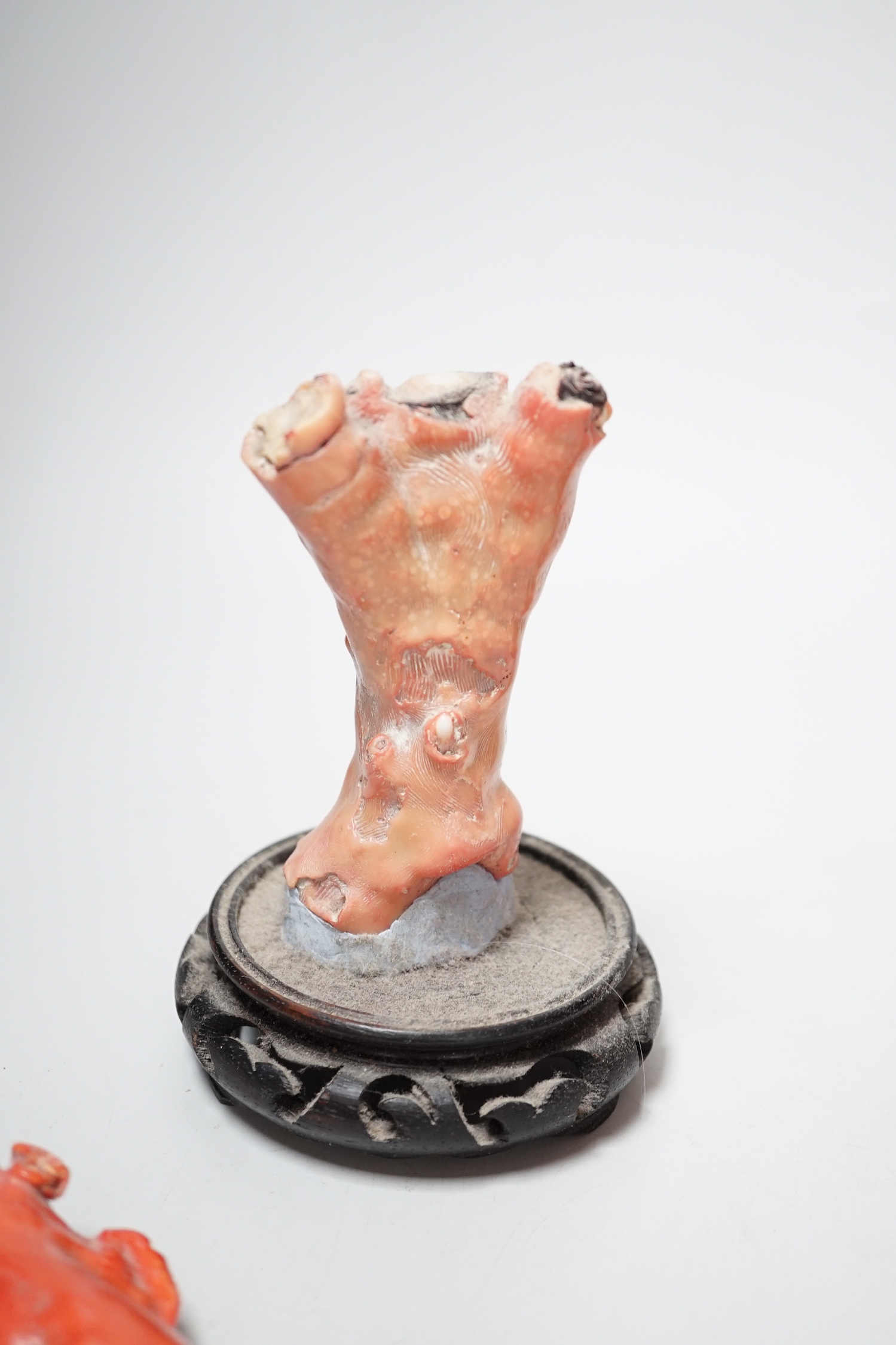 Five Chinese coral fragments